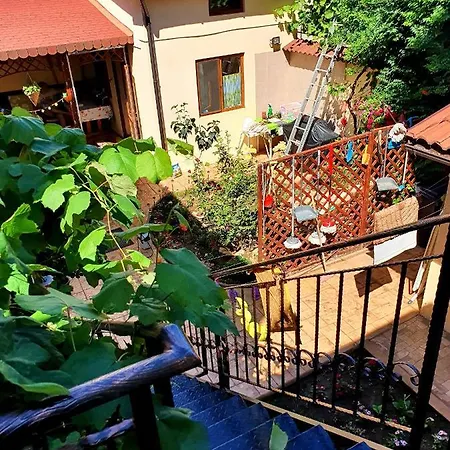 Casa Matilda Pensión Constanţa