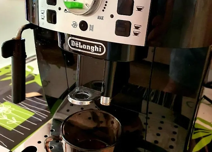 Casa Matilda ゲストハウス